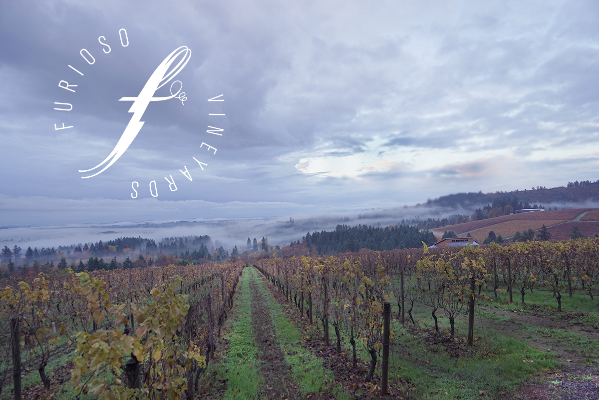 Furioso Vineyards + Waechter Architecture Announcement | Commercial + Hospitality Architect in Portland, Oregon