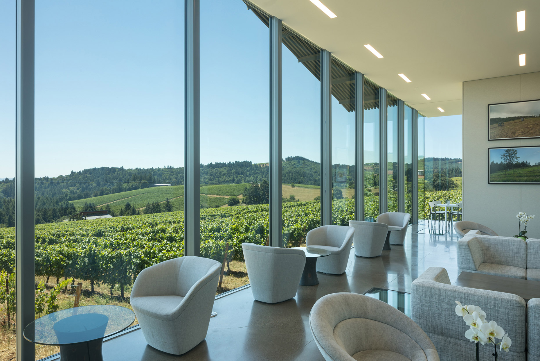 Interior Furioso Winery - Waechter Architecture